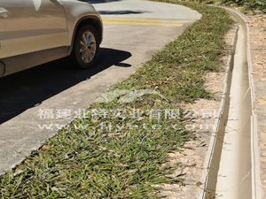 潮州美麗鄉村道路樹脂排水溝案例